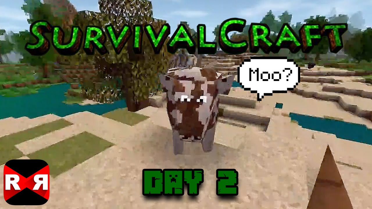 More Birds  Survivalcraft