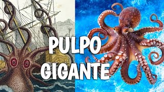 NANAIMOTEUTHIS y el origen de los PULPOS 🐙