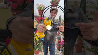 Electric Plant Pruner | Honest Review ?? #shorts #review