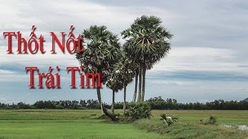 Thốt Nốt Hình Trái Tim Bây Giờ Ra sao?