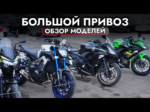 Обзор КОНТЕЙНЕРА МОТОЦИКЛОВ из Японии❗ KAWASAKI | YAMAHA | SUZUKI и другие модели в НАЛИЧИИ