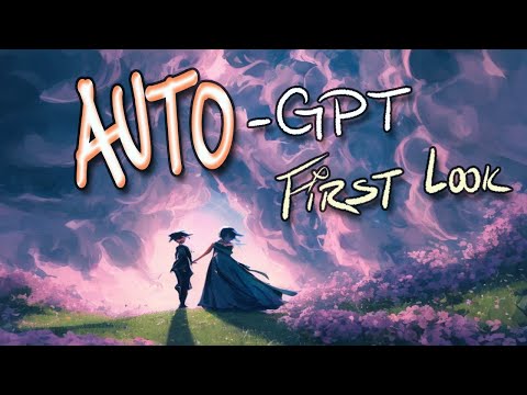 First Look -
