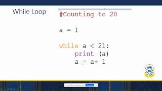Lesson 4  - PART 1 While Loops