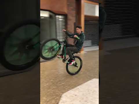 Wheelies In The