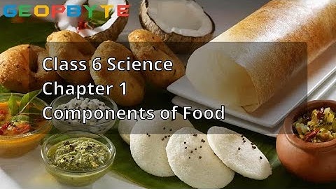 Components of Food | Chapter 1 | Class 6 | Science #componentsoffood #class6 #science @GeopByte