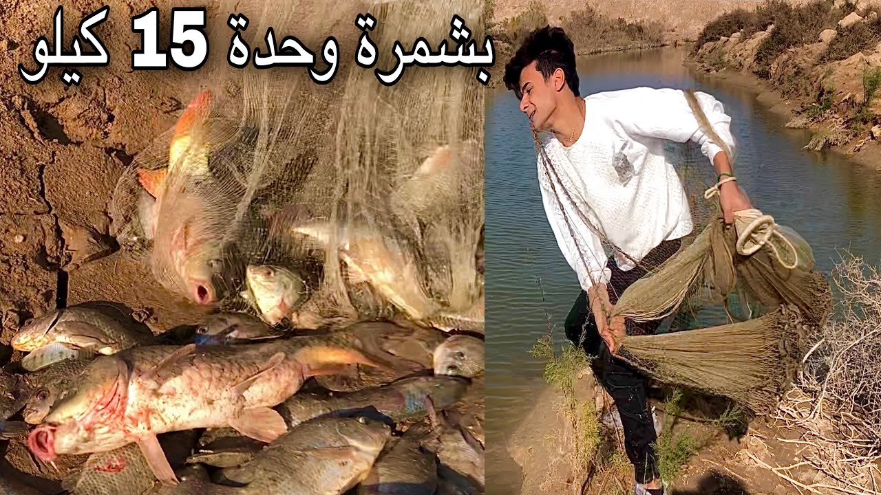 صيد الاسماك بأعداد لا تتوقع