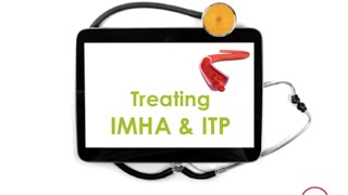 5 Tips for Managing Dogs with IMHA and ITP