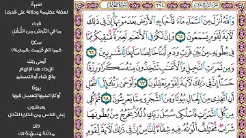 #8 سورة النحل||صفحة 273||والله انزل من السماء ماء فأحيا به الارض ||مكررة 10مرات ماهر المعيقلي