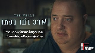 Filmment l Review l รีวิว The Whale - เหงา เท่า วาฬ ผลงานชุบชีวิตของ Brendan Fraser