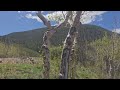 Video of Last Dollar Road, CO from Jesse G.
