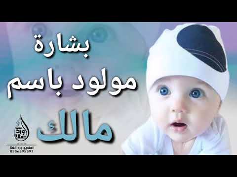 شيلة بشارة مولود ولد شيلة مولود باسم مالك شيله اهداء بمناسبة المولود