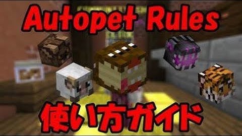 How To Set Up An AutoPet Rule! (hypixel skyblock)