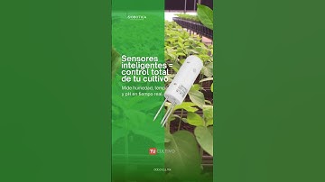 🌱🚀 Mejora tu cultivo con tecnología