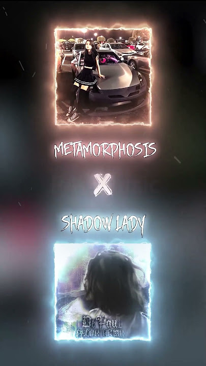 SHADOW LADY x METAMORPHOSIS | (Perfectly Slowed   Reverb) || [P4nMusic TIKTOK MASHUP]