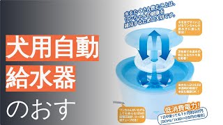 犬用自動給水器のおすすめ人気ランキング12選