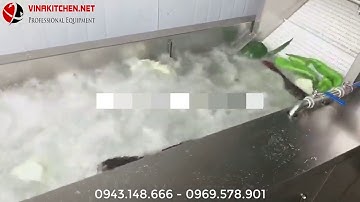 Máy rửa rau củ quả có sục khí ozone - Máy rửa rau củ quả công nghiệp