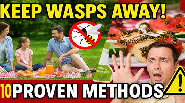 10 Ways to Keep Wasps Away From You and Your House | No More Outdoor Stings!