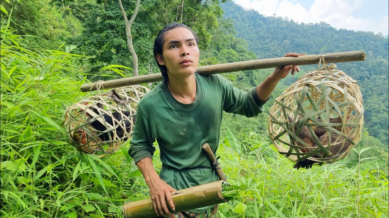 FULL VIDEO : 400 days of survival, boar trap, wild chicken, survival alone, survival instinct