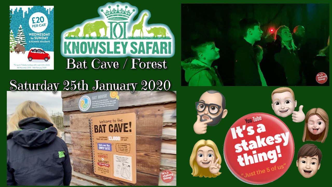 knowsley safari bat cave