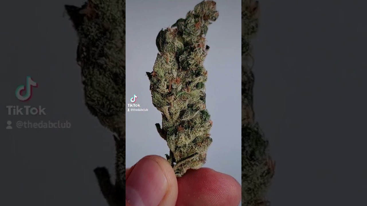 Cheesecake Cookies - The Kush Bros