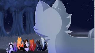 Remembering You! Part 31 || Warriors MAP