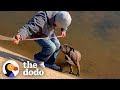 Pittie Rescued from Canal Turns Into a Big Chubby Baby | The Dodo Pittie Nation