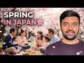 Sakura Season in Japan 🌸 | The Most Beautiful Time to Visit 🇯🇵