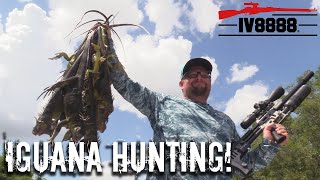 IGUANA HUNTING in West Palm Beach with Caza Y Pesca!