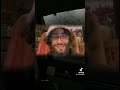 احذر اصدقاء السوء