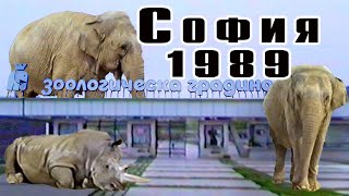 :    (1989)   VHS  | , ,   