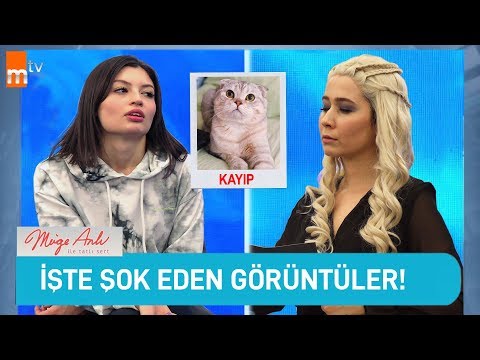 Video: Ebeveynlerin kendi çocuklarını anlamalarına yardımcı olacak 10 film