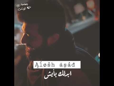 سيف نبيل وحدك مليت العين