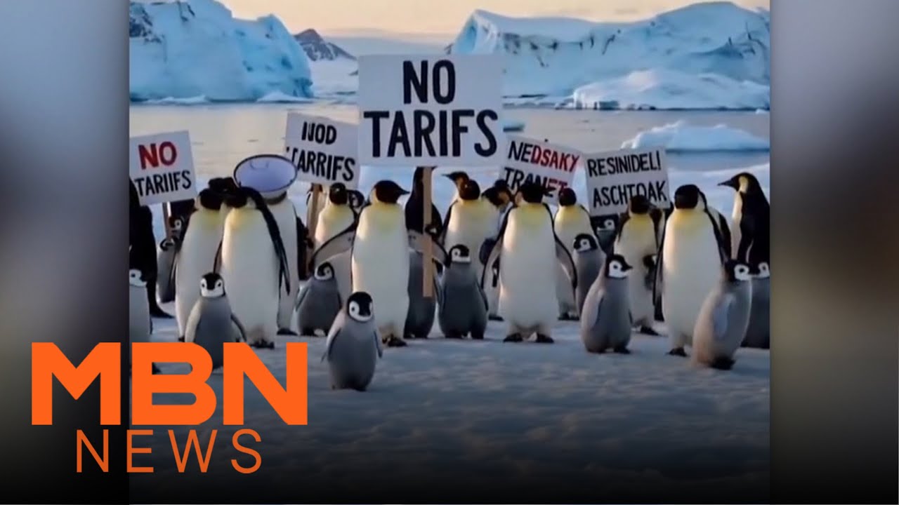 “No Tariffs” Sign… Flood of Memes Mock Trump’s Deserted Island Tariff [MBN  News7]