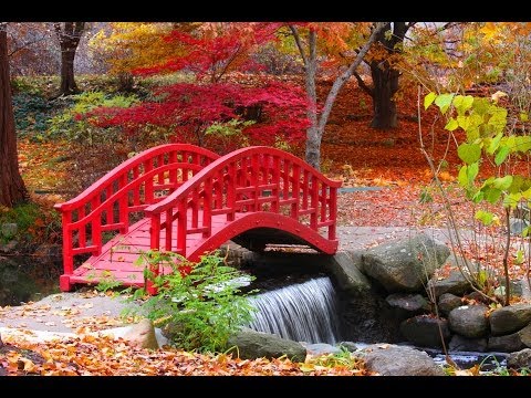 Tibetan Zen Meditation Music: Relaxing Instrumental Music For Spa Music ☯107