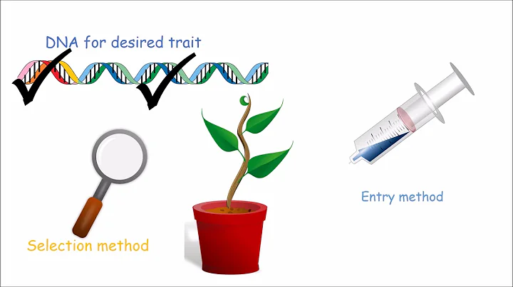 How to Make a Genetically Modified Plant - DayDayNews