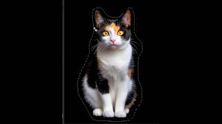 Celebrity How to Remove Complex Background in Photoshop #photoshop Profile