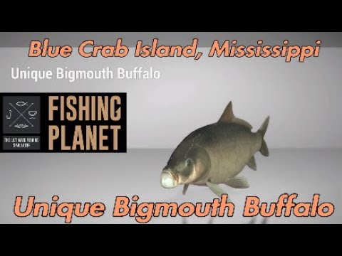 Unique Permit - Blue Crab Island Mississippi - Fishing Planet