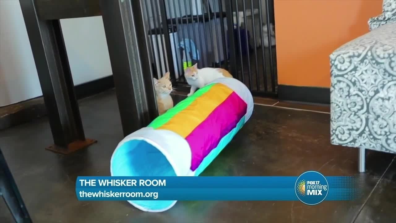 The Whisker Room Muskegon