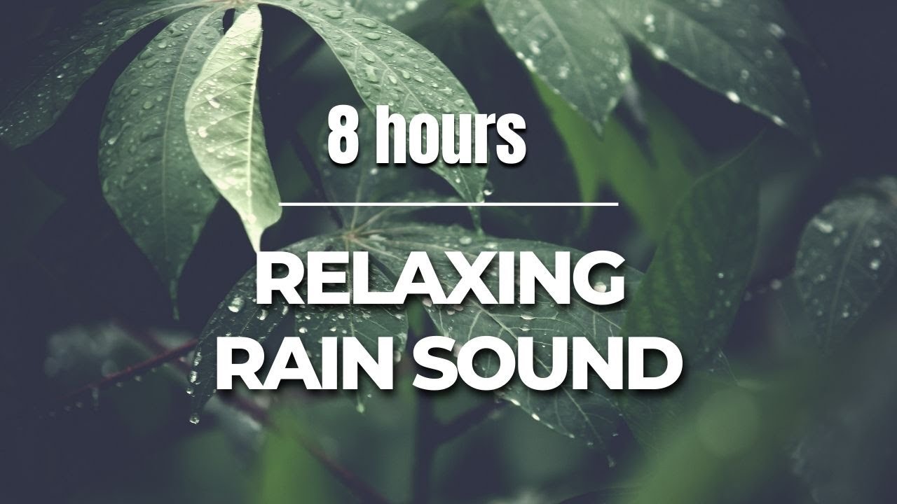 8 hours | Relaxing Rain Sounds | Peaceful Nature Ambience for Sleep ...