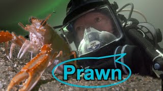 Narrated Scuba Dive – Toll Nighinn Duibhe South Point, Loch Fyne, Scotland