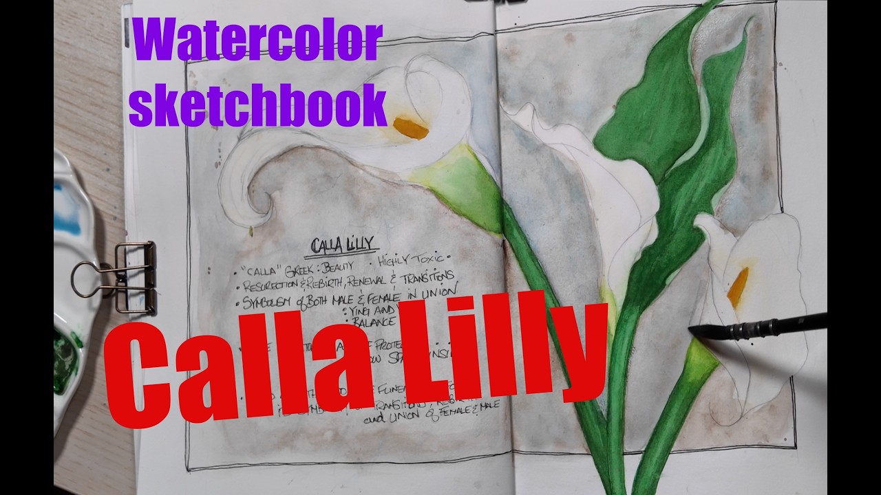 Watercolor Sketchbook Calla Lillies