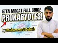What is prokaryoutes  etea mdcat full guide explain by Muhammad zubair 
