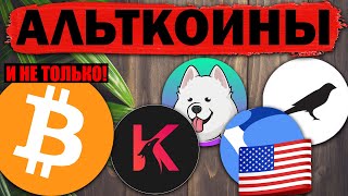 🚀 Альткоины которые дадут иксы Разбор монет SAMOYED (SAMO) (USTC) KUSAMA (KSM) KARURA (KAR)