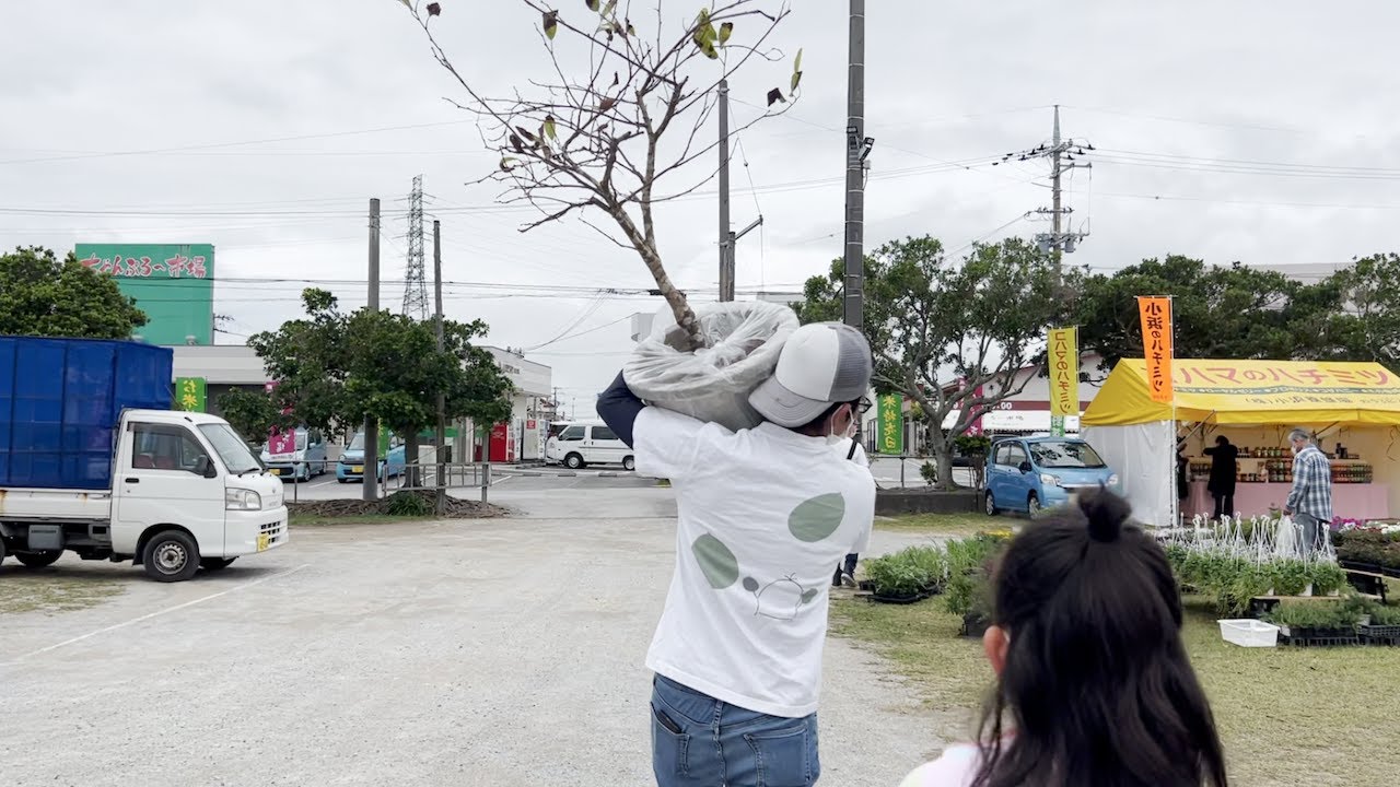 Limited to one day] I bought some rare fruit trees at the 