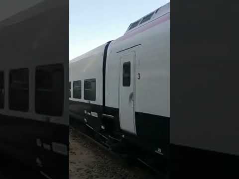 خروج قطار ٢٠٢٦ من سيدي جابر إلى القاهرة مباشر