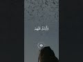 سورة الفيل ماهر المعيقلي سورة الفيل ماهر المعيقلي