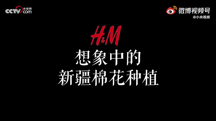 H&M想像中的新疆棉花 vs 真正的新疆棉花 - 天天要聞