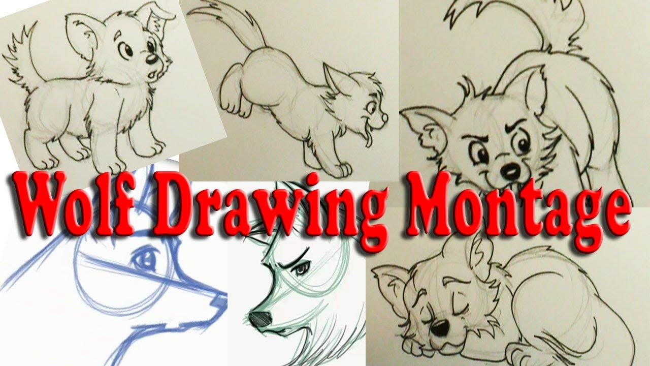 how to draw an anime wolf pup step by step