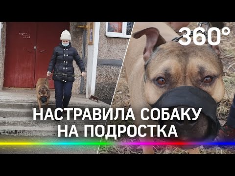 Натравила терьера на подростка - соседка 7 лет терроризирует дом, но сделать ничего нельзя