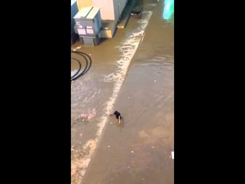 العزيزية نفق الملك خالد المتجه لمستشفى النور